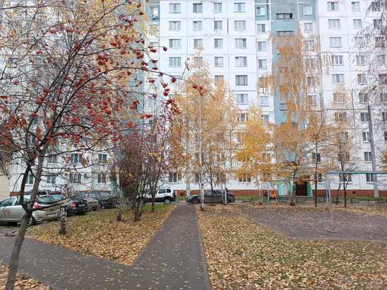 2-комнатная 52м2 10/10 эт.