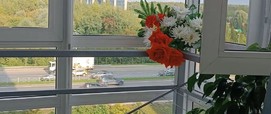 3-комнатная 81м² 6/19 эт.
Казань, Приволжский район, Оренбургский тракт , 140г 3-комнатная 81м² 6/19 эт.
Казань, Приволжский район, Оренбургский тракт , 140г